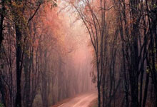 2030年世界杯或扩军至64支中新体坛.